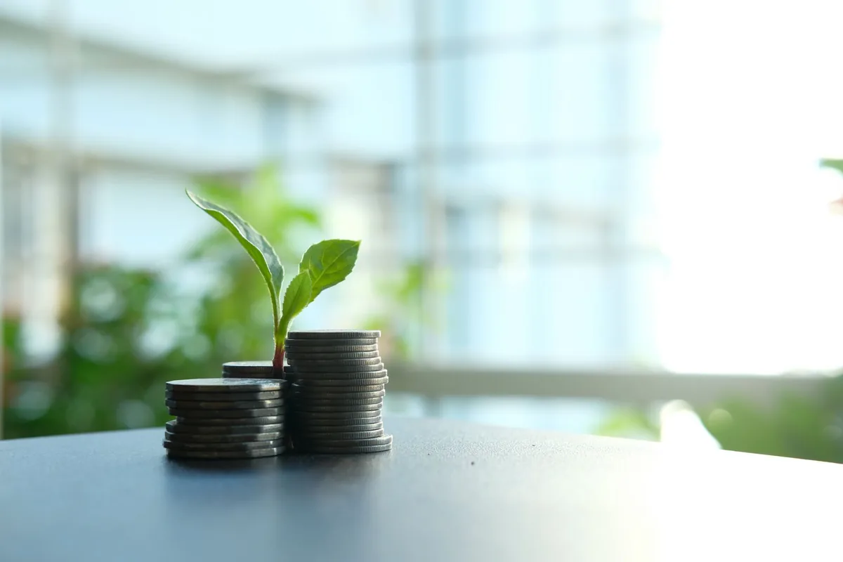 A small green plant growing between stacks of coins